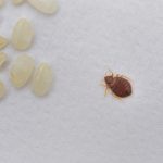 iStock_000015014142_Medium - HospitalityLawyer.com®