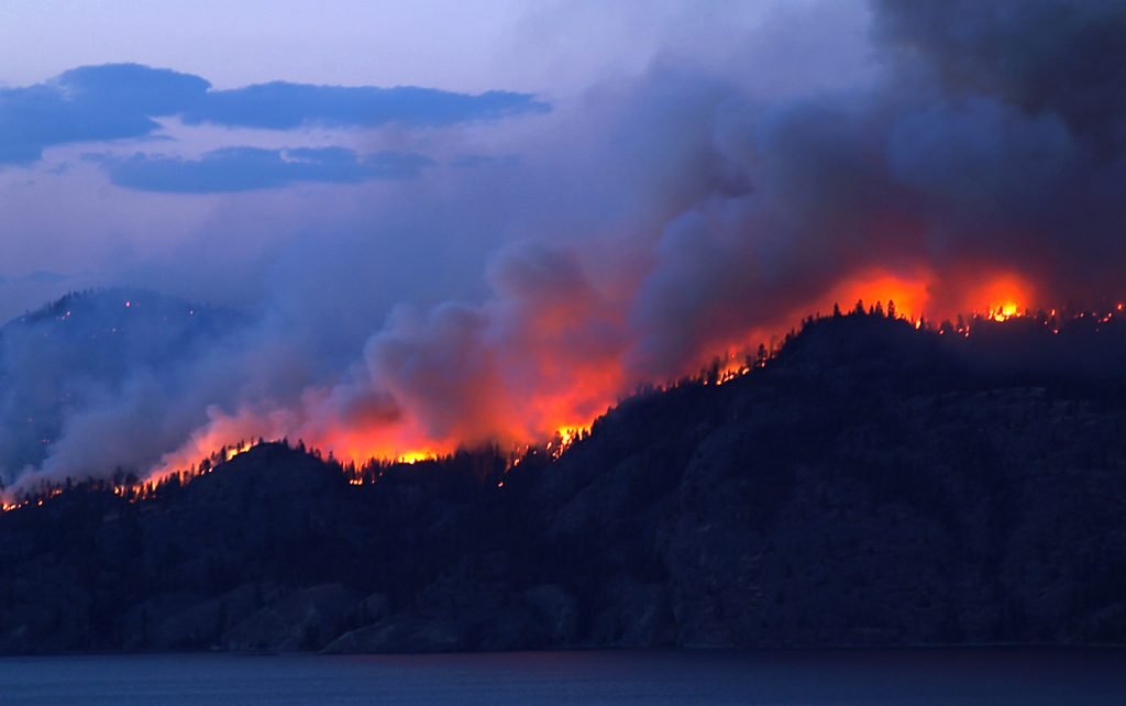 Forest Fire - HospitalityLawyer.com®