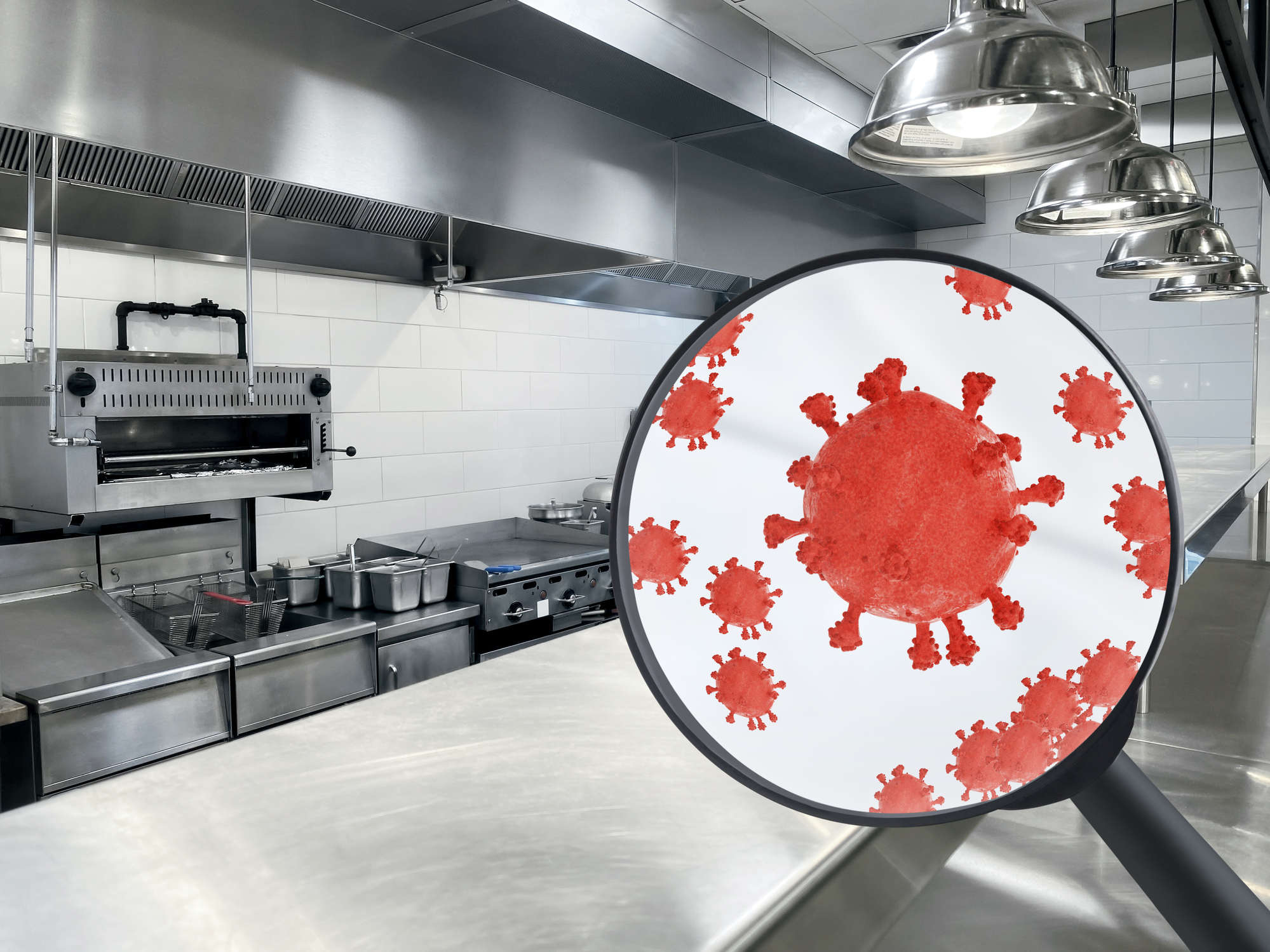 Testing for Food Contamination: Looking for the Whole Picture