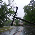 Storm damaged electric transformer on a pole and a tree - HospitalityLawyer.com®